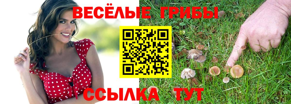 Галлюциногенные грибы прущие грибы  Вход с VPN  цены наркотик  Звенигород 